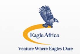 eagle africa